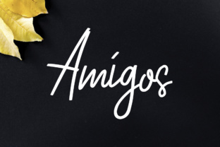 Amigos Font: Modern Script for Web Design