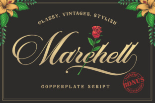 Elevate Your Brand with Marchell Script Font