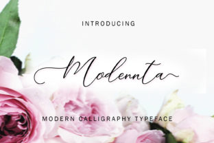 Modennta Script: A Maker’s Guide to Elegant Handwritten Fonts