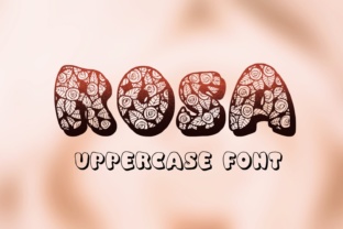 Rosa Typeface: Elevate Campaign Visuals