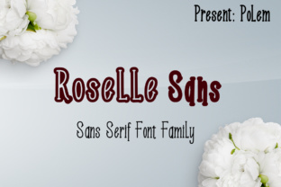 Roselle Sans: A Sleek Typeface for Makers