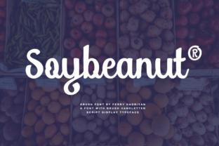 Soybeanut Typeface Review for Modern Branding