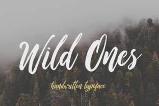 Wild Ones: A Playful Script Font for Modern Branding
